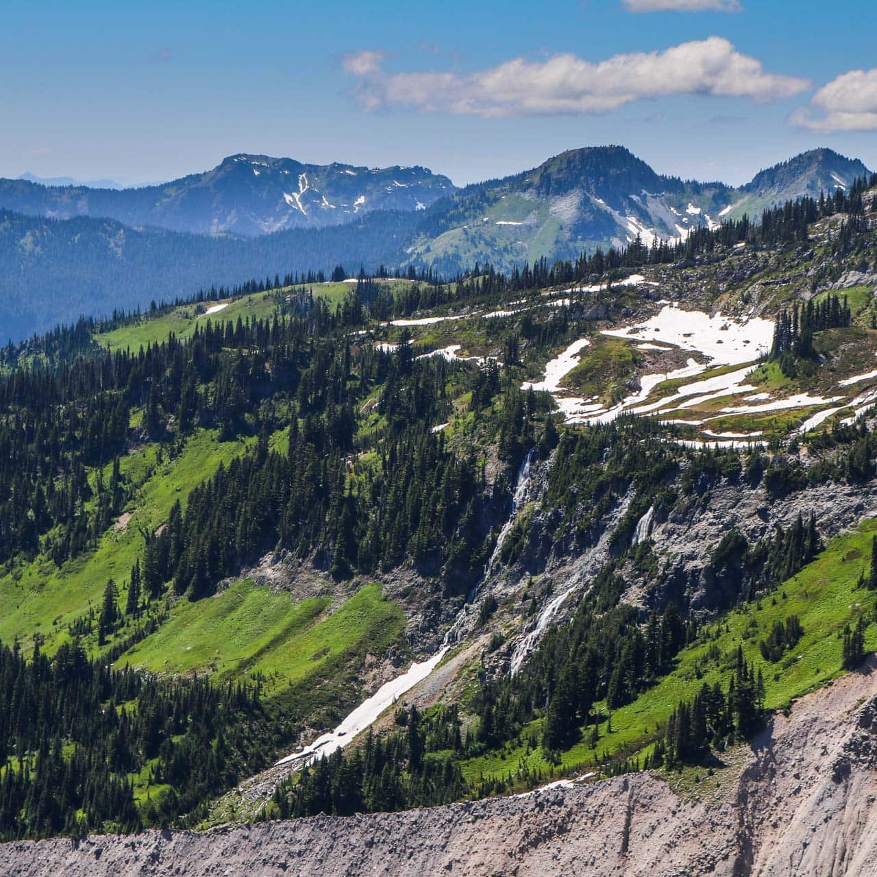 Mountain landscape in Mount Rainier National Park, Washington