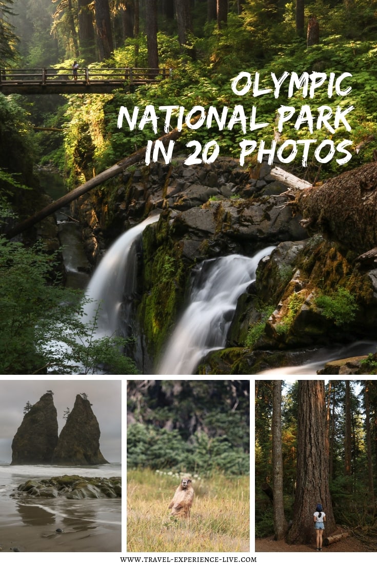 Olympic National Park Photos: Rialto and Ruby Beach, Hoh Rain Forest, Lake Crescent and Sol Duc Falls