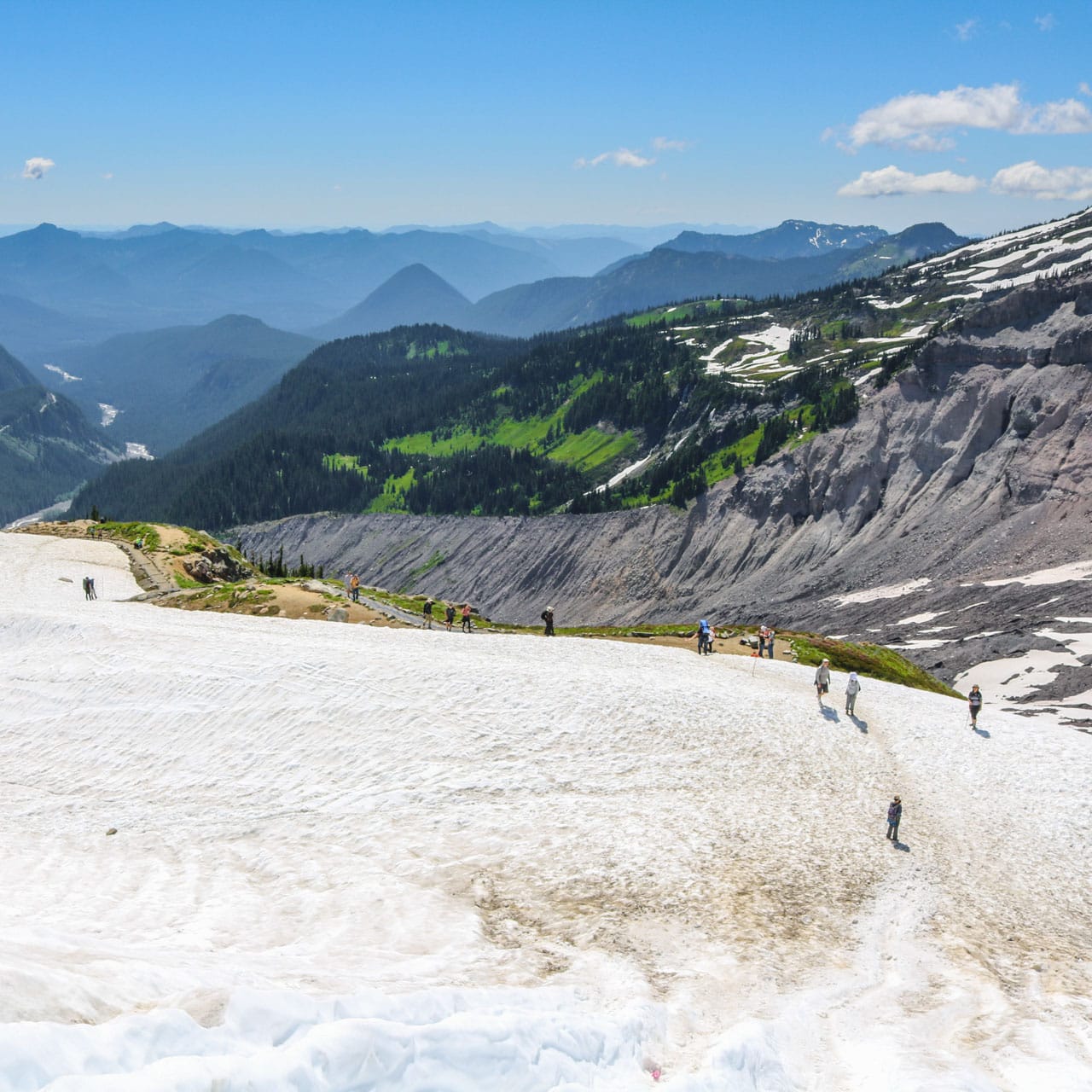 People on a glacier, Mount Rainier National Park