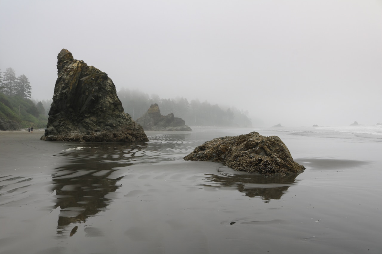Rock stacks at Ruby Beach, Olympic National Park Pictures, Washington