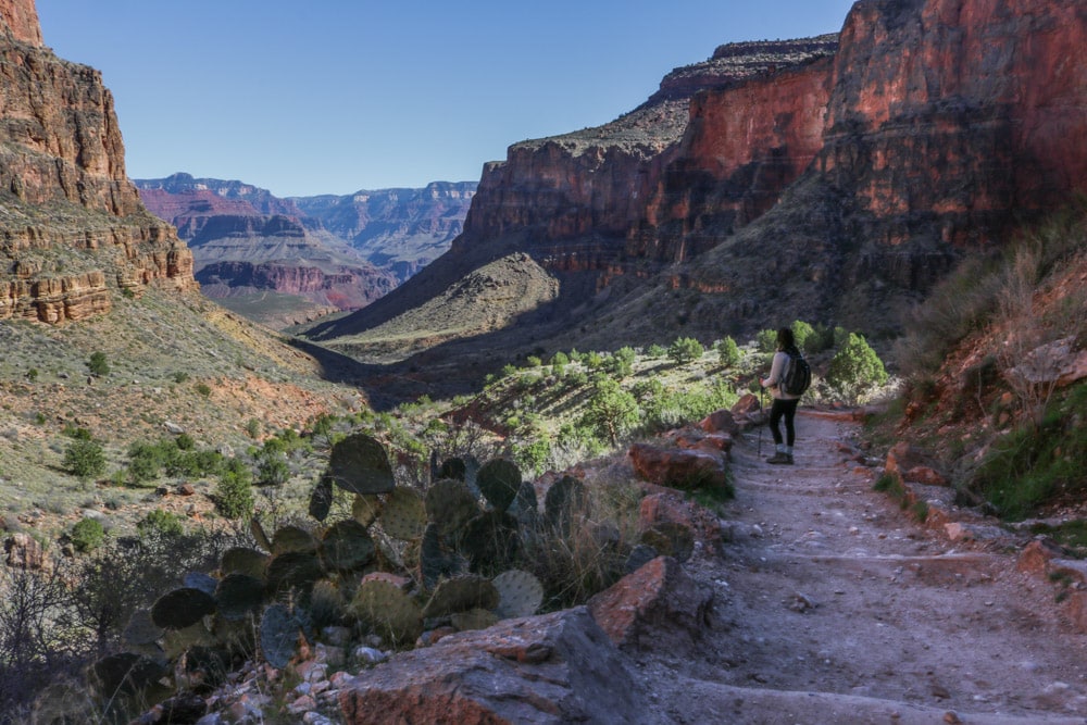 Hiking the Bright Angel Trail, Grand Canyon National Park near Phoenix