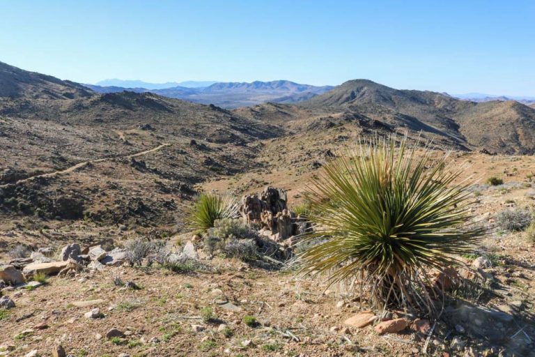 Lost Horse Mine trail, Joshua Tree National Park California