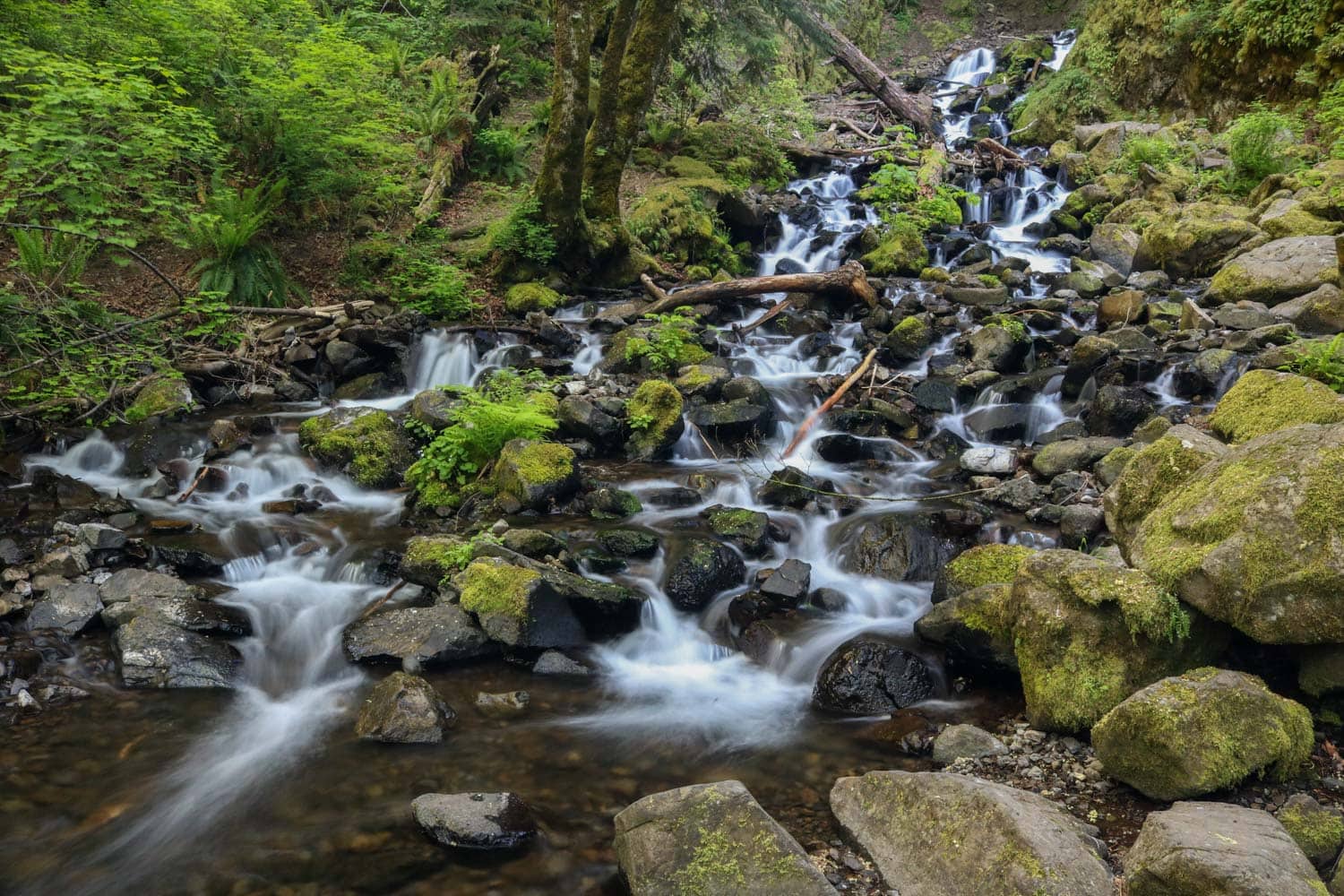 Cascades in Columbia River Gorge National Scenic Area - Best Day Trips from Portland, Oregon