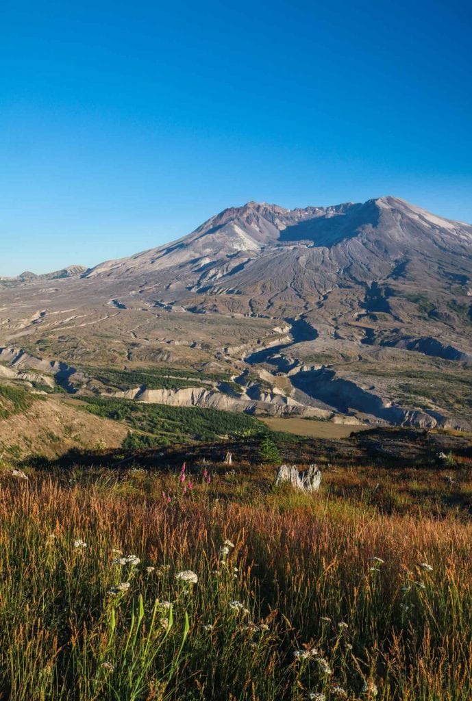 Meadow at Johnston Ridge Observatory, Mount St. Helens National Volcanic Monument - Portland Road Trip Destinations