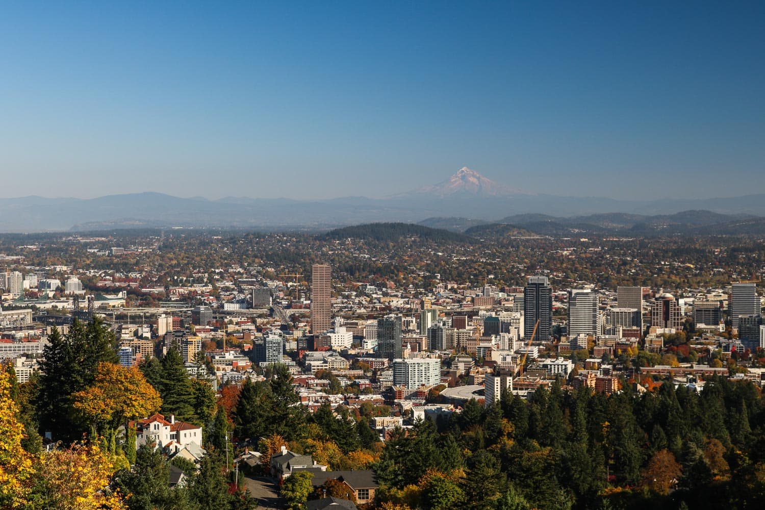 Portland Skyline and Mount Hood seen from Pittock Mansion, Forest Park - Best Parks Near Portland