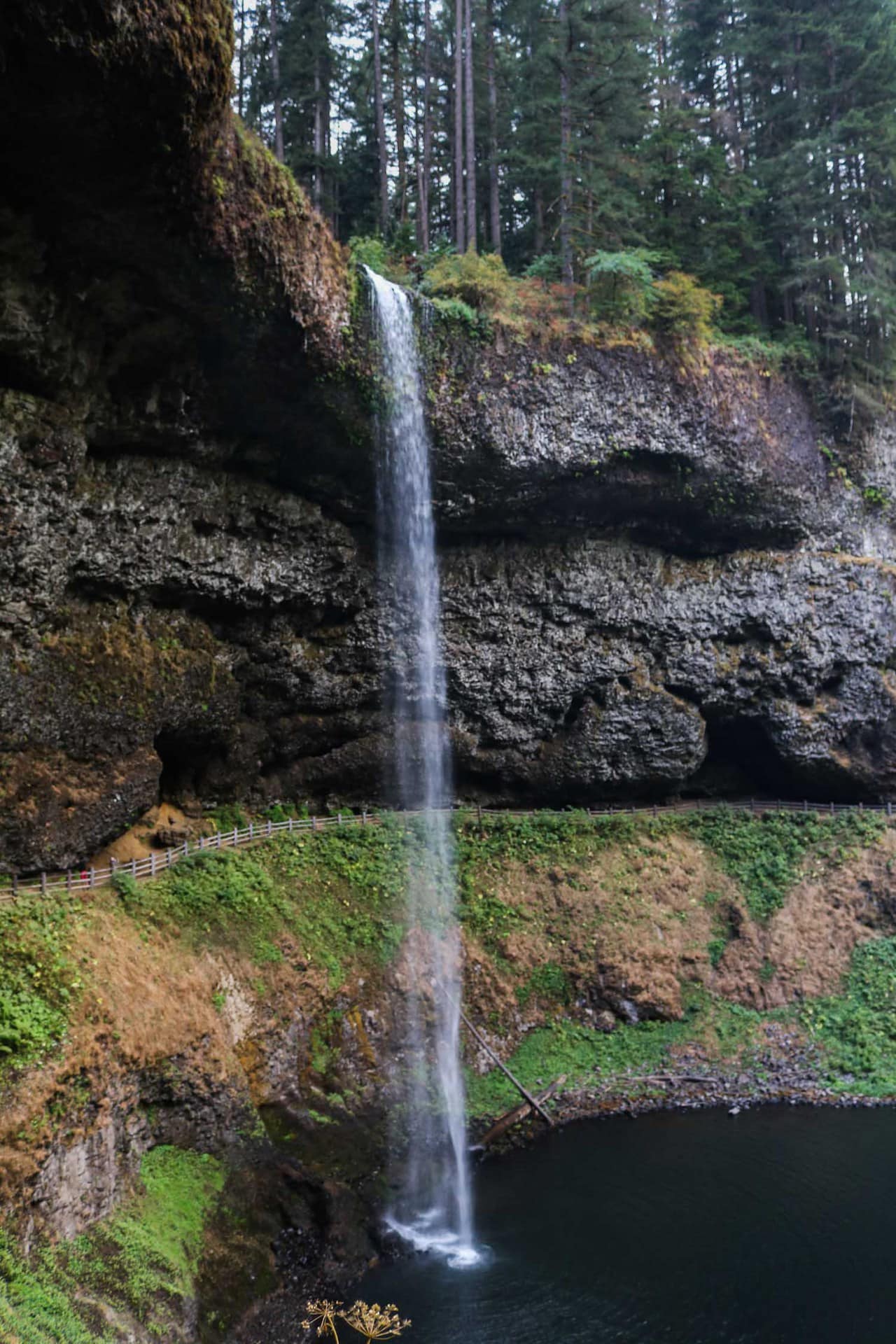 South Falls in Silver Falls State Park, Oregon - Best Day Trip Destinations Around Portland, Oregon