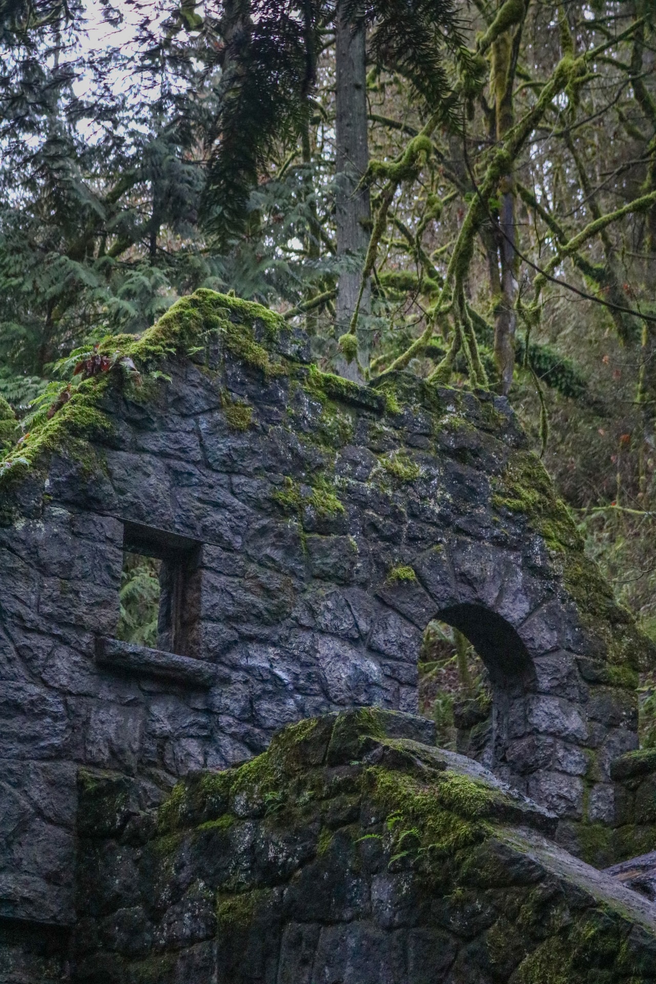 Stone House, Lower MacLeay Trail in Forest Park, Day Hikes Near Portland, Oregon
