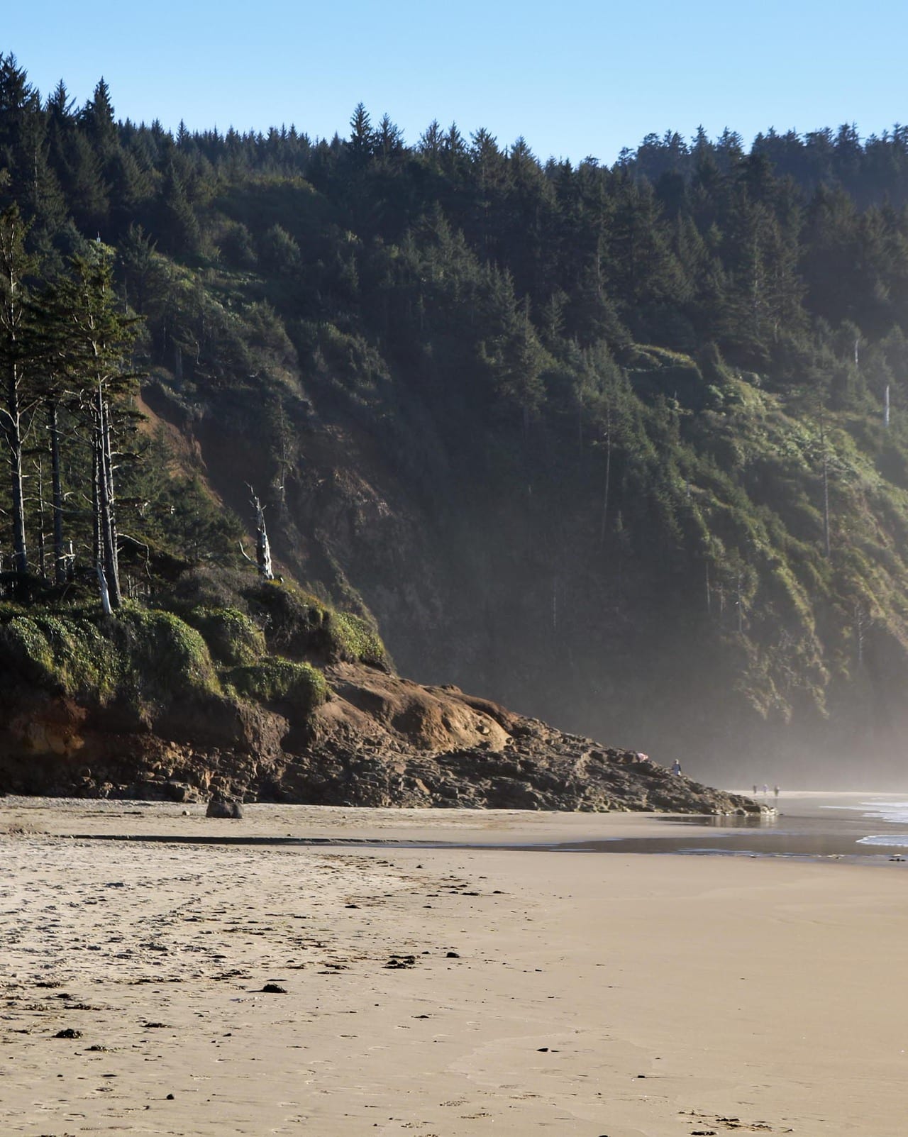 Cape Lookout State Park beach cliffs, Oregon Coast