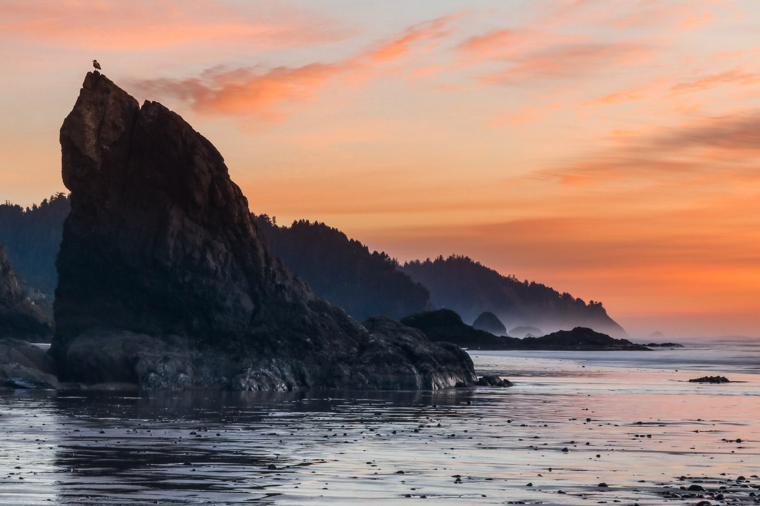 Hug Point State Park coast, Oregon State Parks