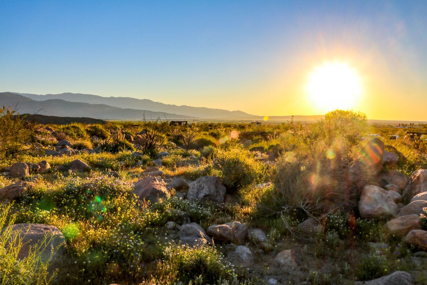 Sunrise in the Anza-Borrego Desert, California