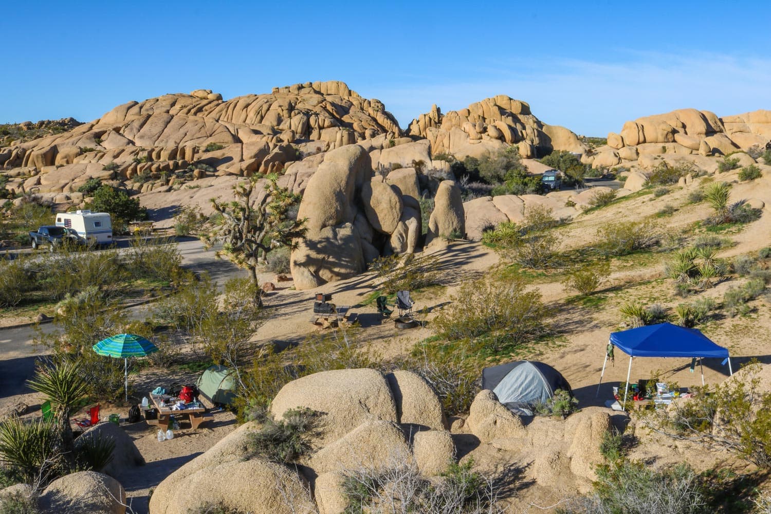 Jumbo Rocks Campground morning, Joshua Tree National Park, California - Top National Parks Near Las Vegas, Nevada