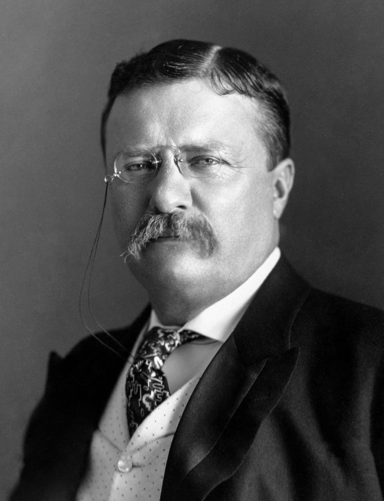 President Theodore Roosevelt Birthplace National Historic Site