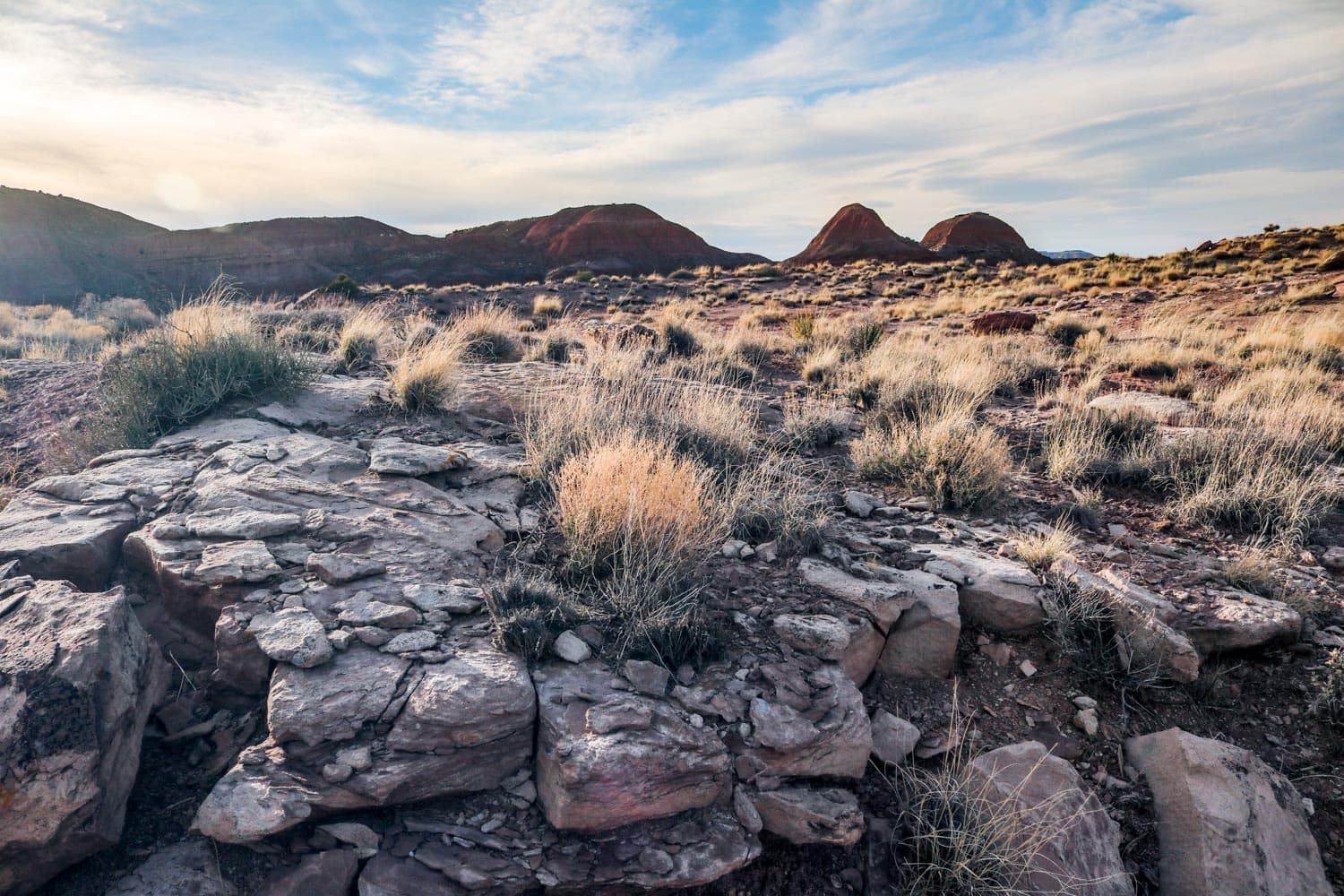 Evening light in the Painted Desert, Petrified Forest National Park, Arizona