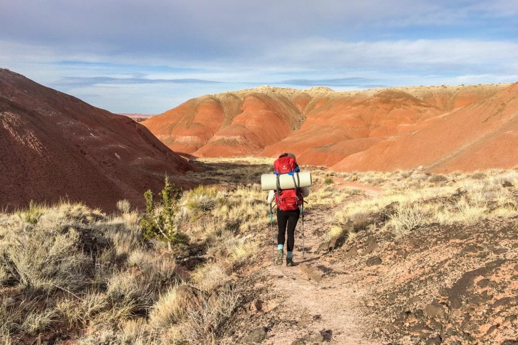 Hiker in Petrified Forest National Park, Arizona