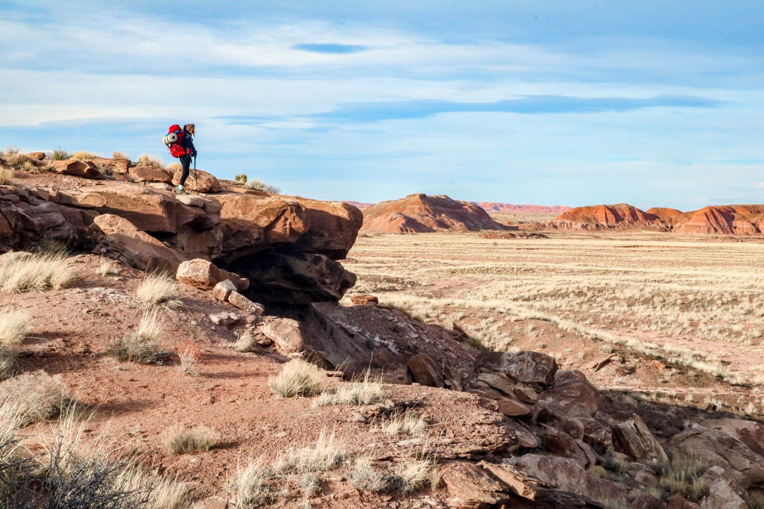 Hiker in the Painted Desert, Petrified Forest National Park