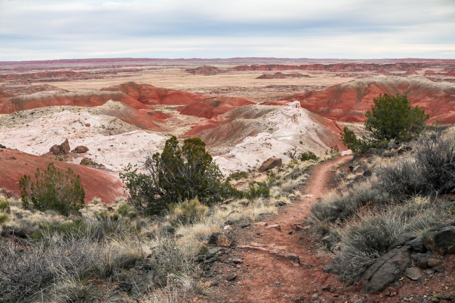 Painted Desert Access Trail in Petrified Forest, Arizona