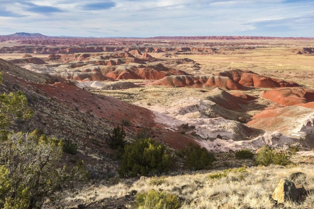 Painted Desert Rim Trail view in Petrified Forest National Park, Arizona