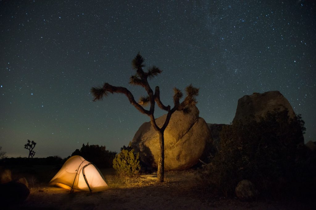 Camping under the stars in Joshua Tree National Park, California - NPS Hannah Schwalbe