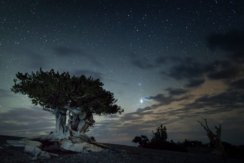Stars in Great Basin National Park, Nevada - NPS