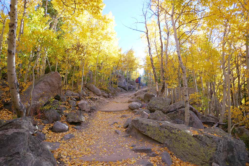 Bear Lake Trail in Rocky Mountain National Park in Fall - Image credit NPS Photo Karen Daugherty