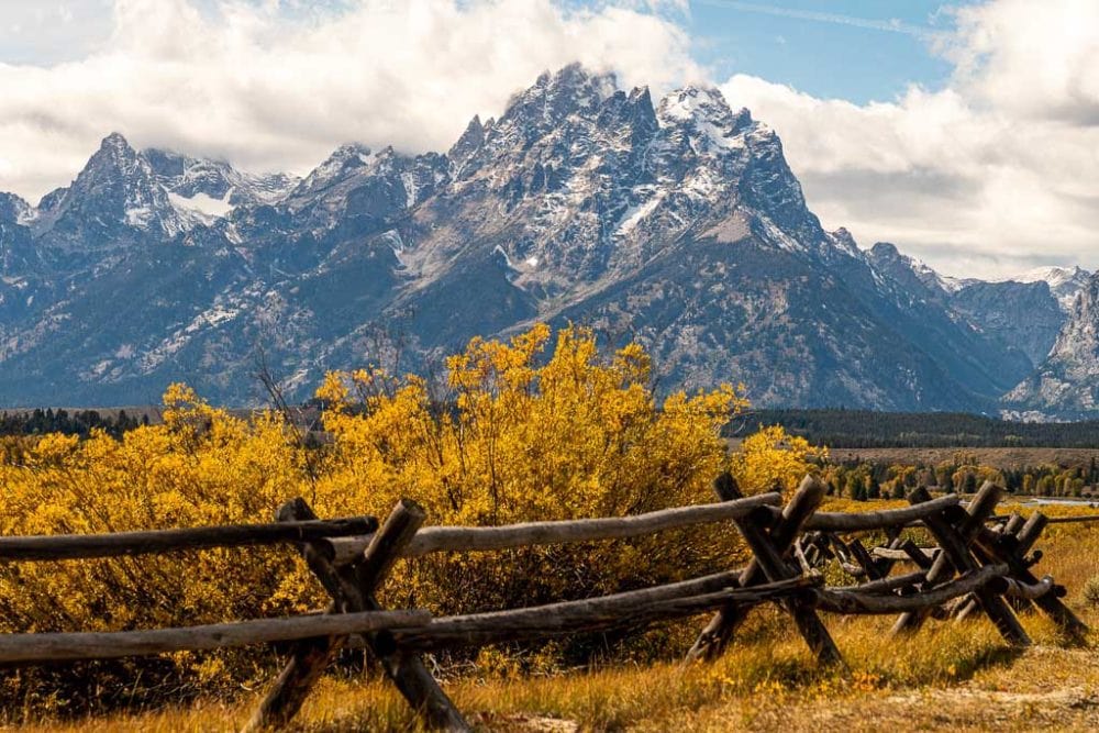 Buckrail fence in front of the Tetons, Grand Teton National Park Fall Foliage - Image credit NPS Adams