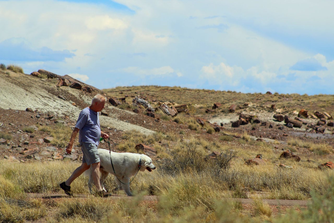 Dog and dad at Crystal Forest in Petrified Forest National Park, Arizona, a great national park to visit with your dog