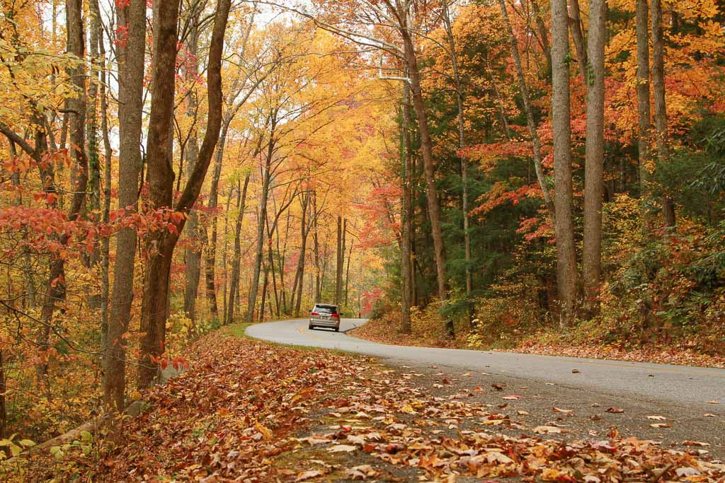 Little River Road in fall in Great Smoky Mountains National Park - Image credit NPS Warren Bielenberg