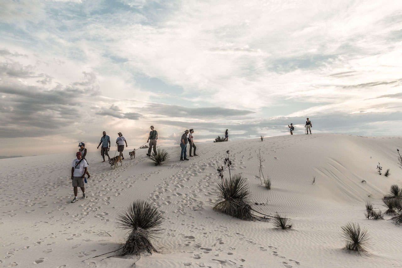 Sunset dune walk with dogs in White Sand National Park, New Mexico, one of the most dog-friendly national parks
