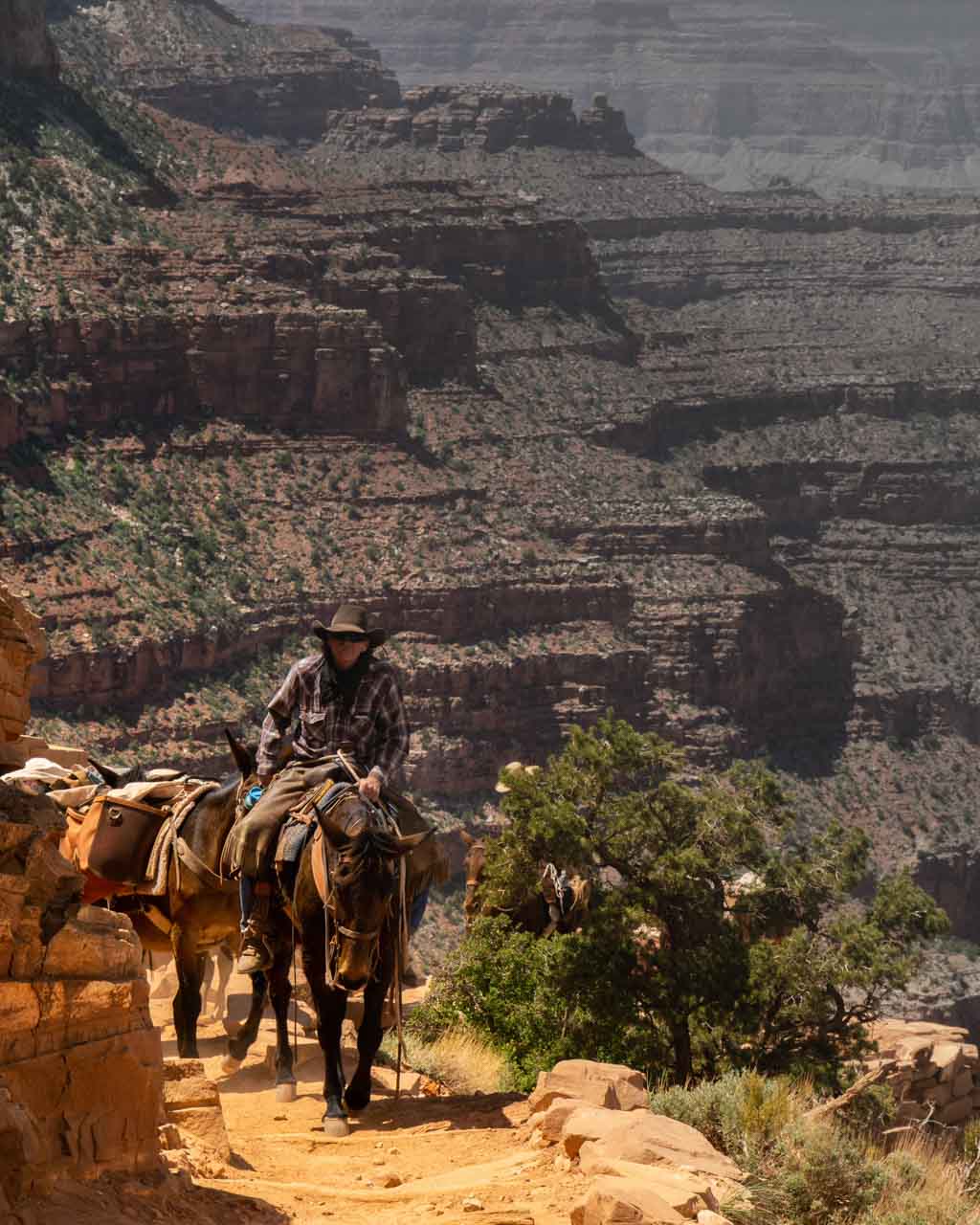 Horseman in the Grand Canyon, Arizona - Hiking Etiquette Right of Way Rules