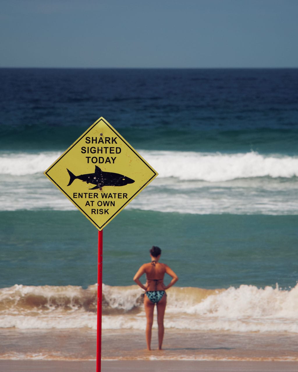 Shark warning sign on beach