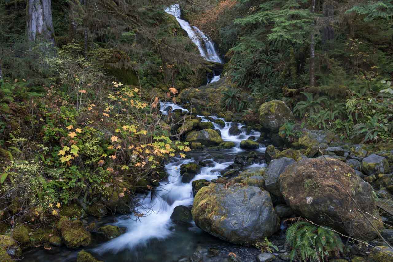 Bunch Falls in Olympic National Park, Washington State