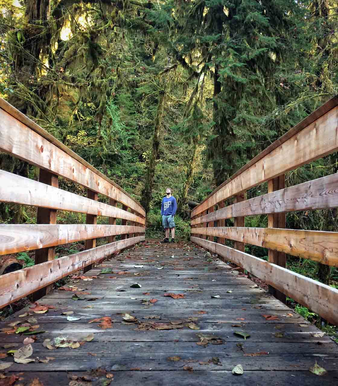 Hiker on Quinault Loop Trail, Olympic National Forest, Washington