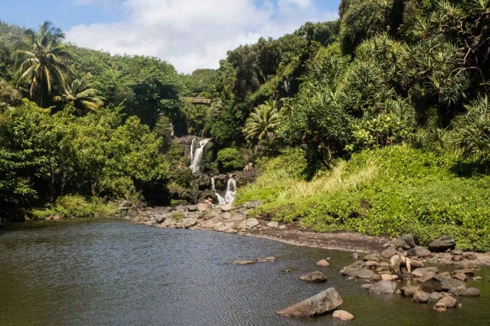 Seven Sacred Pools, Kipahulu Haleakala National Park wedding location