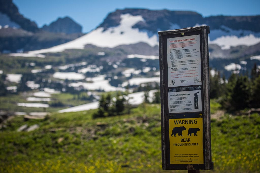 Bear Warning Sign in Glacier National Park, Montana - Best National Parks to See Grizzly Bears in the USA