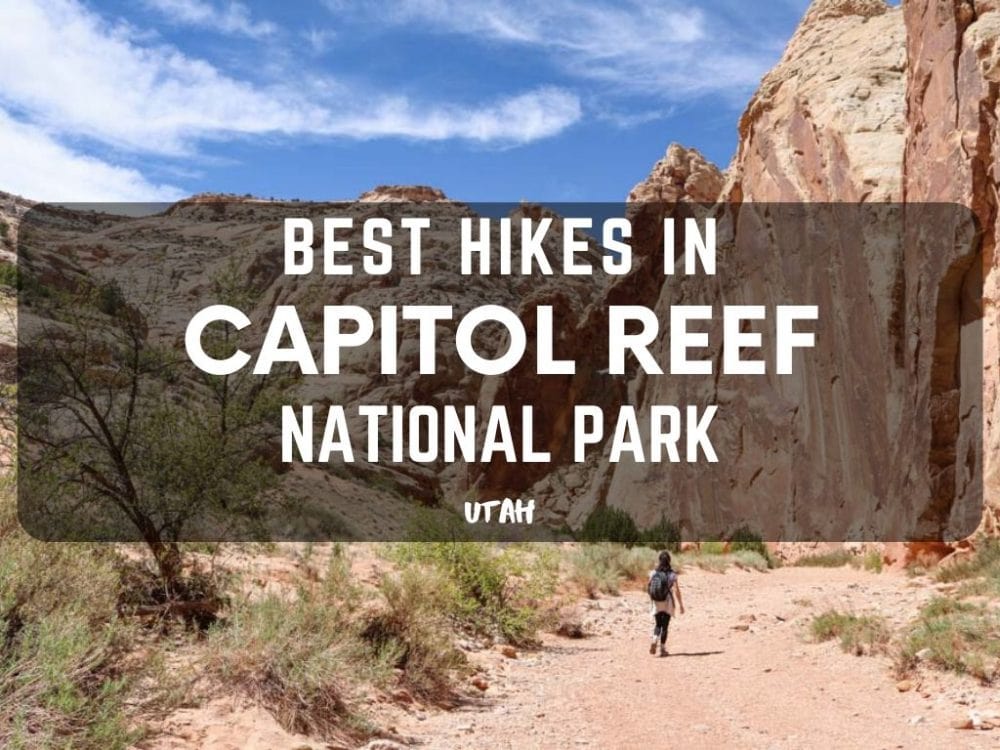 Best Hikes in Capitol Reef National Park, Utah