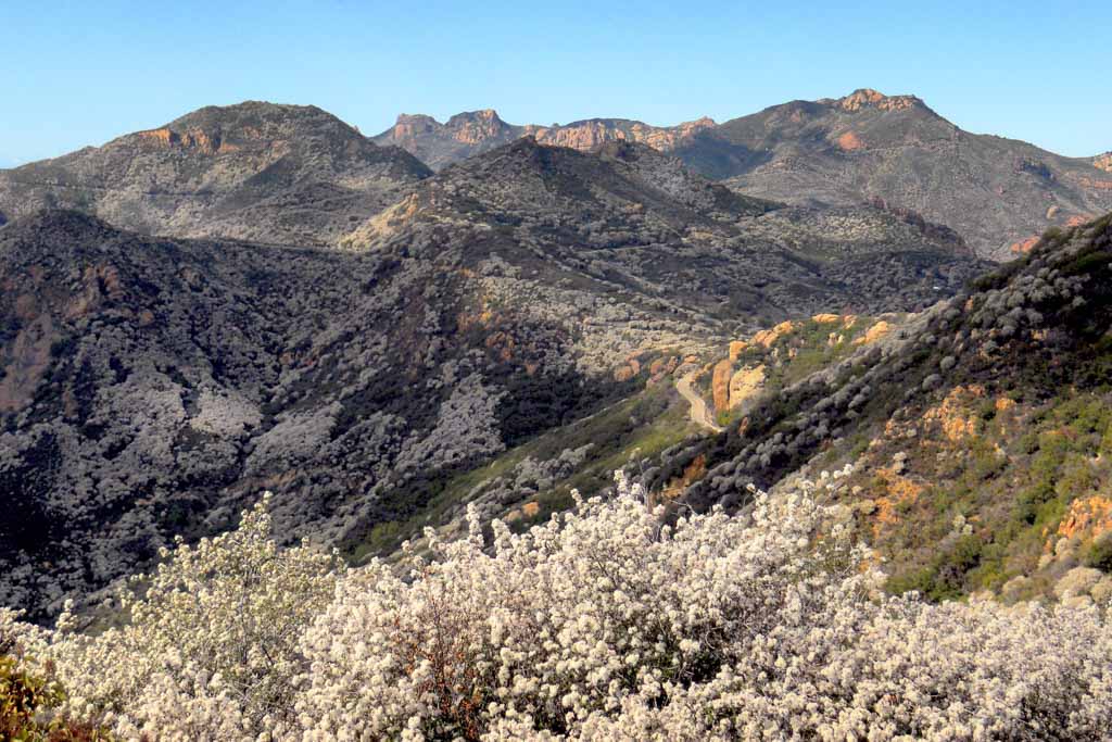 Santa Monica Mountains National Recreation Area in Southern California - NPS
