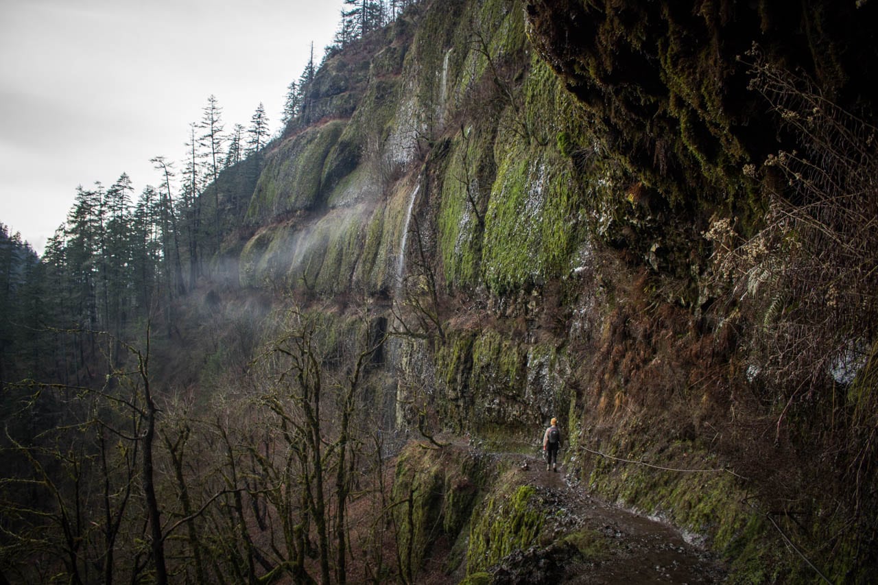 Eagle Creek Trail cliffs, moss and hiker, Columbia River Gorge, Oregon