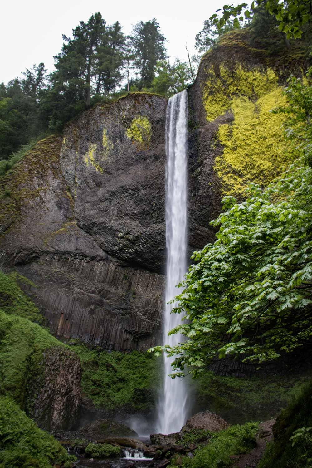 Latourell Falls, Columbia River Gorge National Scenic Area in Oregon, USA
