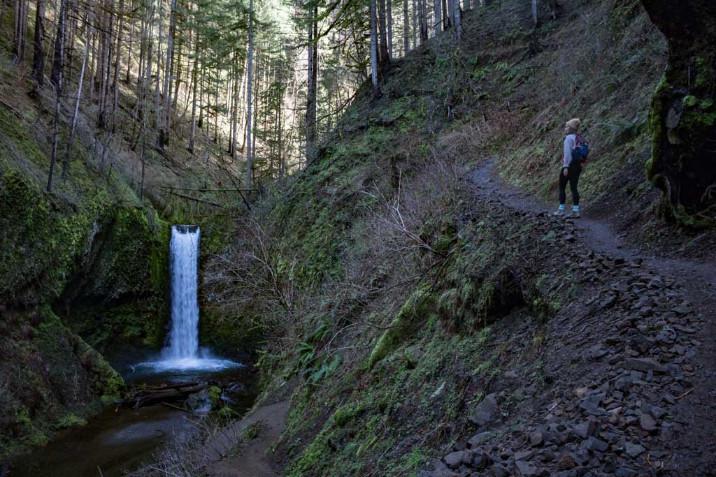 Wiesendanger Falls and hiker in the Columbia River Gorge, Oregon, USA