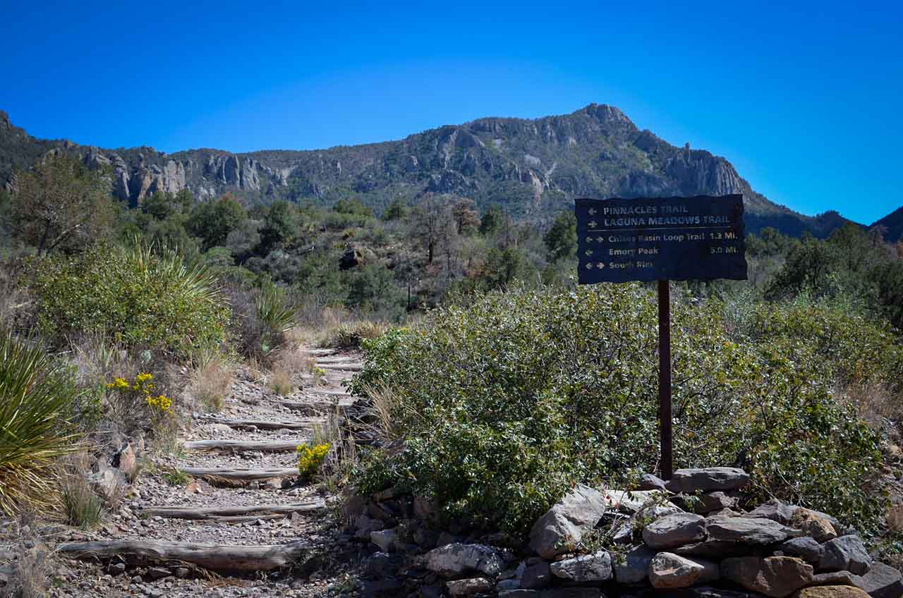 Chisos Mountains trails in Big Bend National Park, Texas - NPS Cookie Ballou