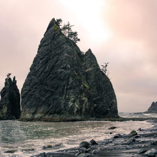 Backpacking Olympic National Park's Wilderness Coast, Washington