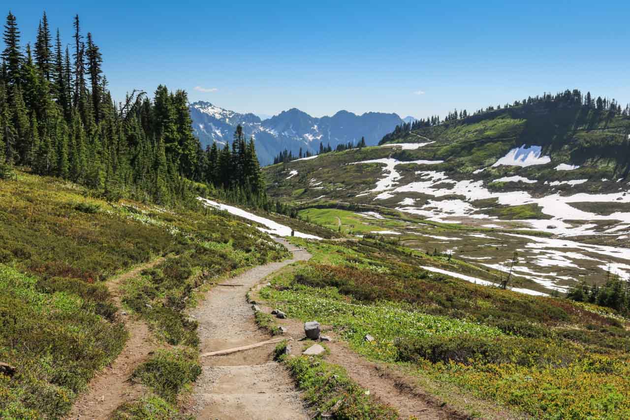 Hiking trail in Paradise, Mount Rainier National Park