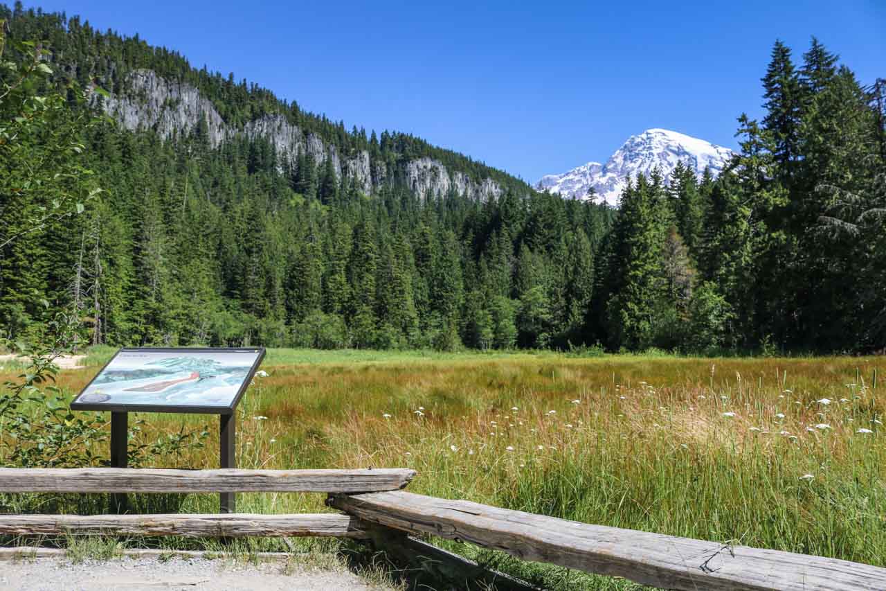 Longmire meadows, Mount Rainier National Park