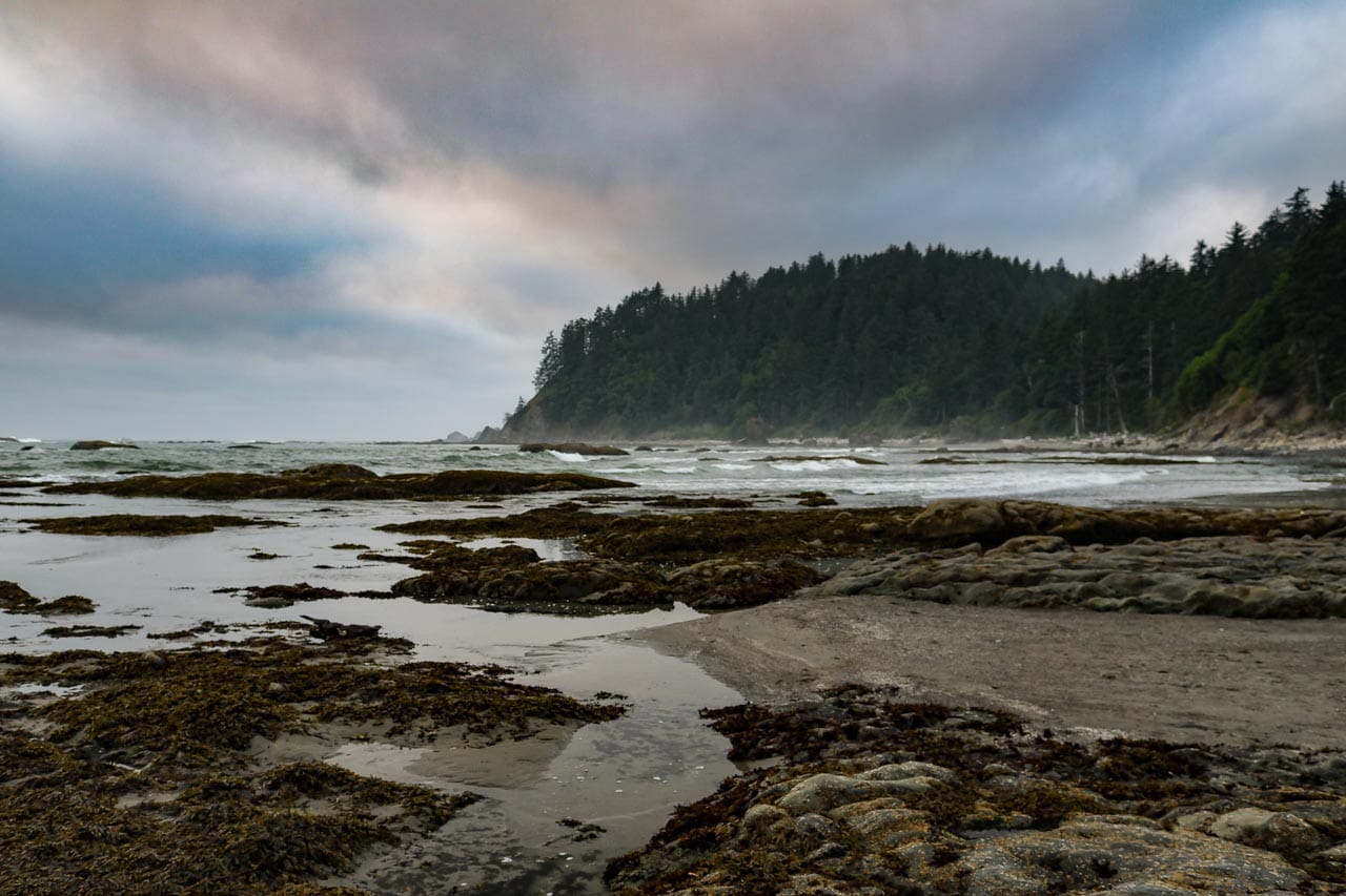 Rialto Beach coastal landscape in Olympic National Park, one of many national park where you can go foraging