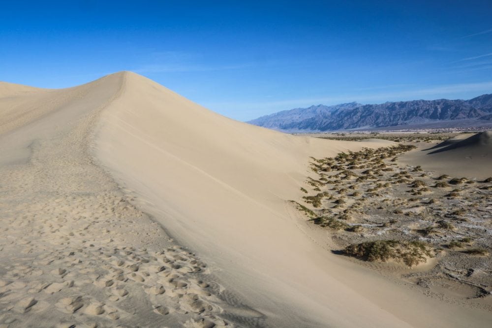 Sand dune, Mesquite Flat Sand Dunes in Death Valley