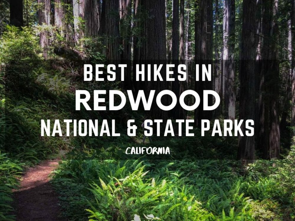 Best Hikes in Redwood National Park and State Parks, California