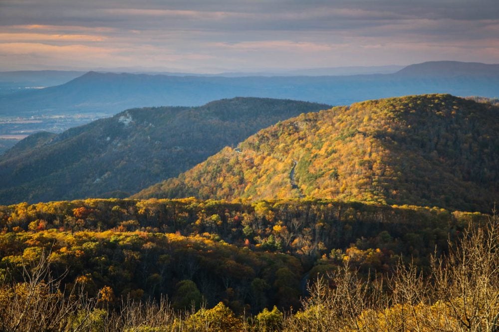 Frazier Discovery Trail Fall Foliage, Shenandoah National Park