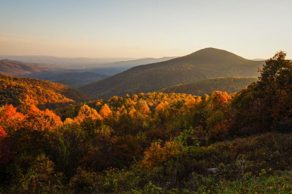 Sunset fall colors at Ivy Creek Overlook, best views in Shenandoah National Park, Virginia