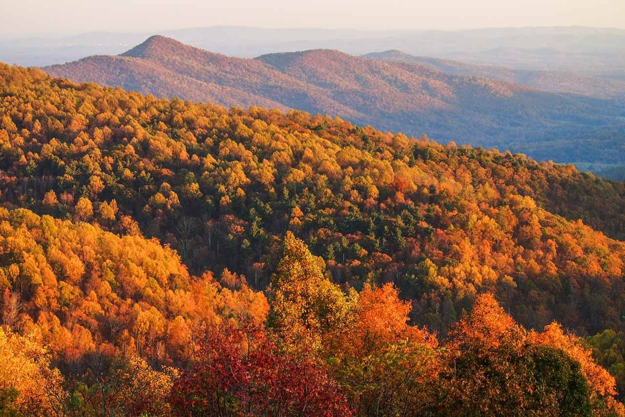 Sunset fall foliage in Shenandoah NP, Virginia