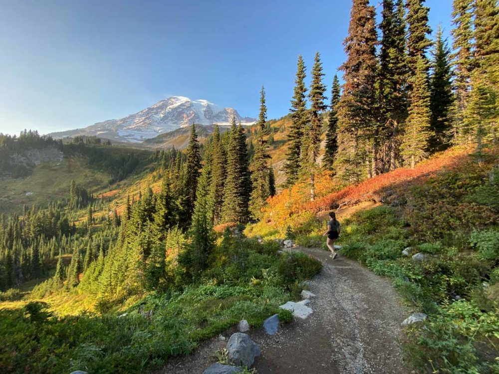 5 Best Fall Hikes at Mount Rainier - Fall Foliage AnD Hiker On The Skyline Trail In Mount Rainier National Park Washington 1000x750